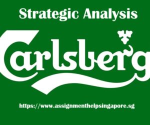 Strategic Analysis of Beer Manufacturer Carlsberg Singapore!!