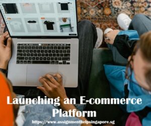 Launching a Bicycle Trading and Purchasing E-commerce Platform in Singapore!!