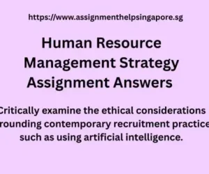 Human Resource Management Strategy Assignment Answers