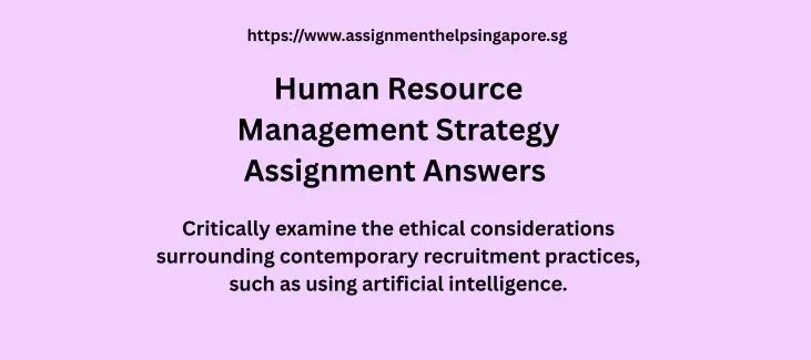 Human Resource Management Strategy Assignment Answers