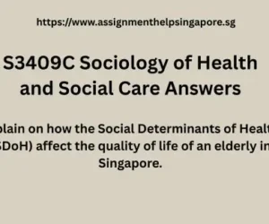 S3409C Sociology of Health and Social Care Answers