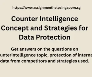 Counterintelligence Strategies to Protect Data at My Singapore Organisation