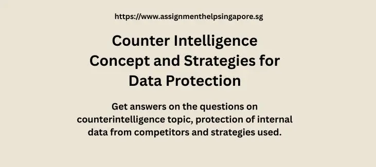 Counterintelligence Strategies to Protect Data at My Singapore Organisation