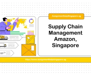 Supply Chain Management Analysis of Amazon Singapore