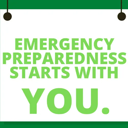 dissertation structure