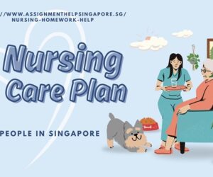 Nursing Care Plan for Older People in Singapore