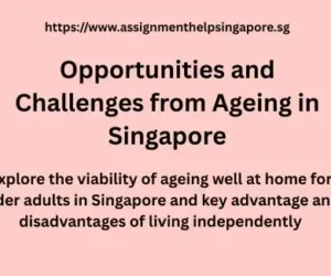 Opportunities and Challenges from Ageing in Singapore