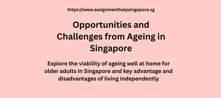 Opportunities and Challenges from Ageing in Singapore