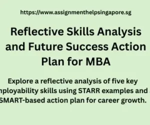 Reflective Skills Analysis and Future Success Action Plan for MBA