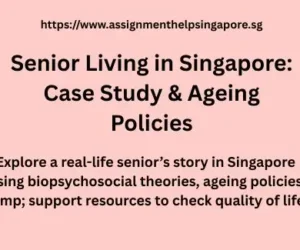 Senior Living in Singapore: Case Study & Ageing Policies