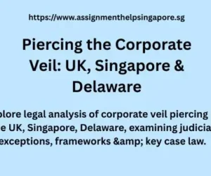 Piercing the Corporate Veil: UK, Singapore & Delaware