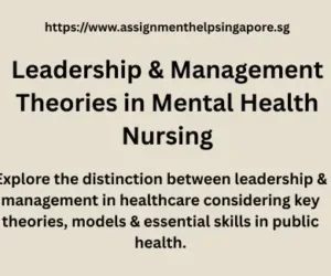 Leadership & Management Theories in Mental Health Nursing