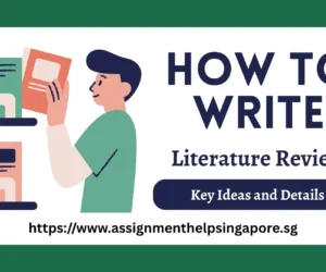 How to Write a Dissertation Literature Review in Singapore?