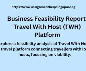 Business Feasibility Report: Travel With Host (TWH) Platform