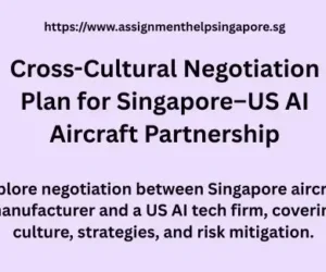 Cross-Cultural Negotiation Singapore–US AI Aircraft Partnership