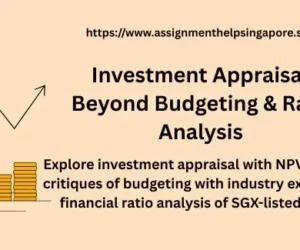 Investment Appraisal, Beyond Budgeting & Ratio Analysis