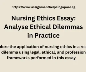 Nursing Ethics Essay: Analyse Ethical Dilemmas in Practice