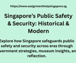 Singapore’s Public Safety & Security: Historical & Modern