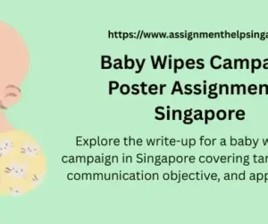 Baby Wipes Campaign Poster Assignment – Singapore