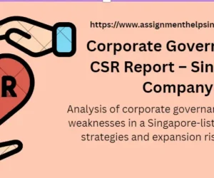 Corporate Governance & CSR Report – Singapore Company