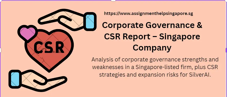 Corporate Governance & CSR Report – Singapore Company