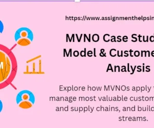MVNO Case Study: IDIC Model & Customer Value Analysis