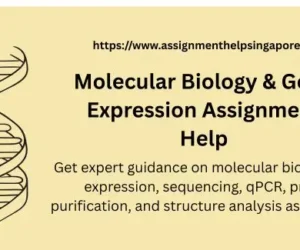 7036MAA Molecular Biology & Gene Expression Assignment Help