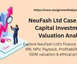 NeuFash Ltd Case Study – Capital Investment & Valuation Analysis