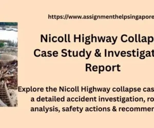 Nicoll Highway Collapse Case Study & Investigation Report