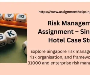 Risk Management Assignment – Singapore Hotel Case Study