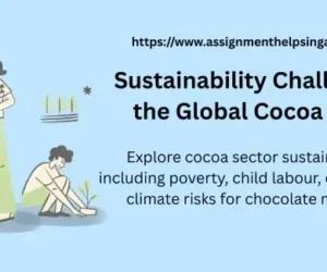 Sustainability Challenges in the Global Cocoa Sector