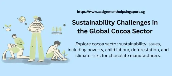 Sustainability Challenges in the Global Cocoa Sector