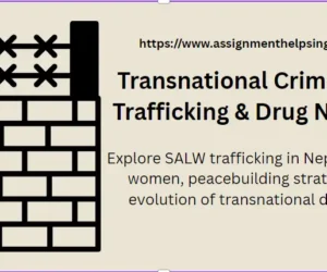 Transnational Crime: SALW Trafficking & Drug Networks
