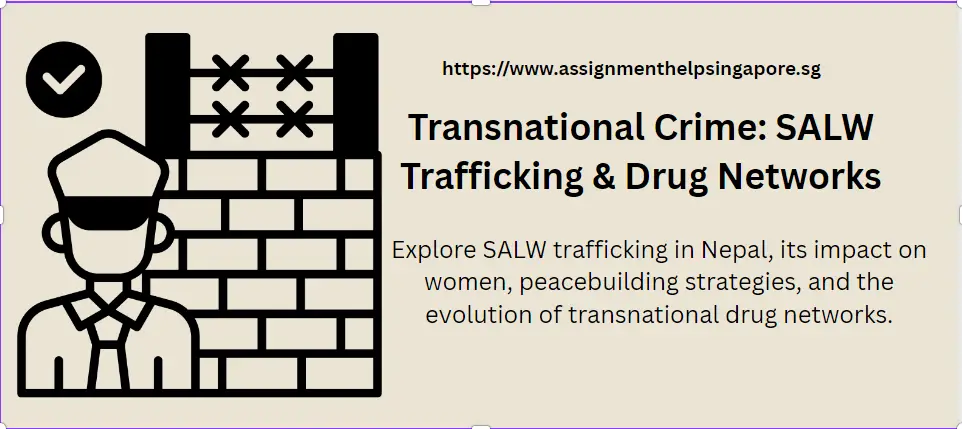 Transnational Crime: SALW Trafficking & Drug Networks