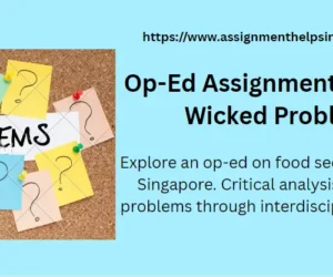 Op-Ed Assignment: Tackling Wicked Problems