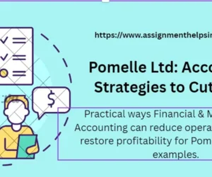 Pomelle Ltd: Accounting Strategies to Cut Costs