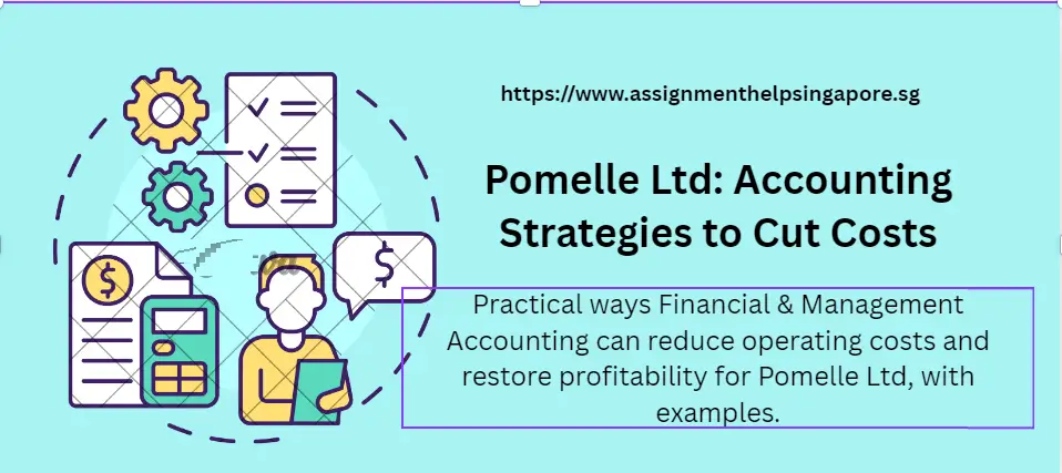 Pomelle Ltd: Accounting Strategies to Cut Costs