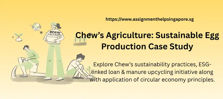 Chew’s Agriculture: Sustainable Egg Production Case Study