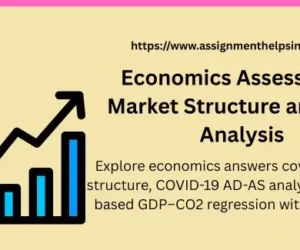 Economics Assessment: Market Structure and Data Analysis