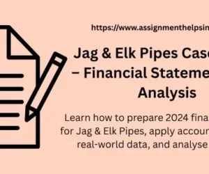 Jag & Elk Pipes Case Study – Financial Statements and Analysis