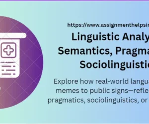 Linguistic Analysis: Semantics, Pragmatics & Sociolinguistics