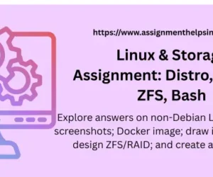 Linux & Storage Assignment: Distro, Docker, ZFS, Bash