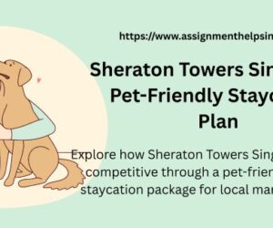 Sheraton Towers Singapore: Pet-Friendly Staycation Plan