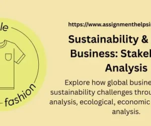 Sustainability & Global Business: Stakeholder Analysis