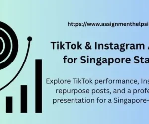 TikTok & Instagram Analysis for Singapore Startups