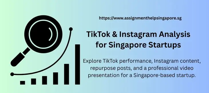 TikTok & Instagram Analysis for Singapore Startups