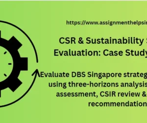 CSR & Sustainability Strategy Evaluation: Case Study Analysis