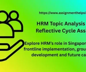 HRM Topic Analysis & Gibbs Reflective Cycle Assignment