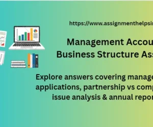 Management Accounting & Business Structure Assignment