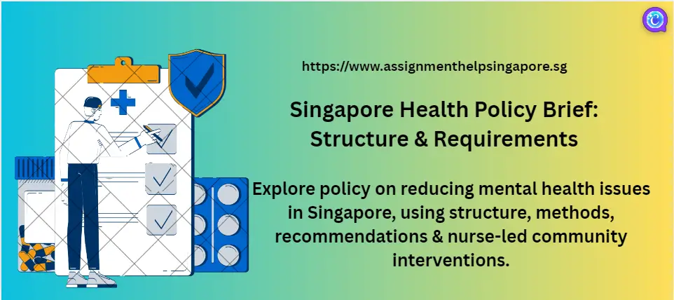 Singapore Health Policy Brief: Structure & Requirements